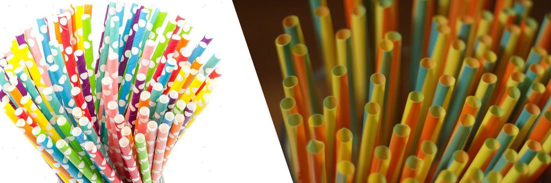 Paper Straws vs Plastic Straws: Which One Is Better for Your Business and the Environment?