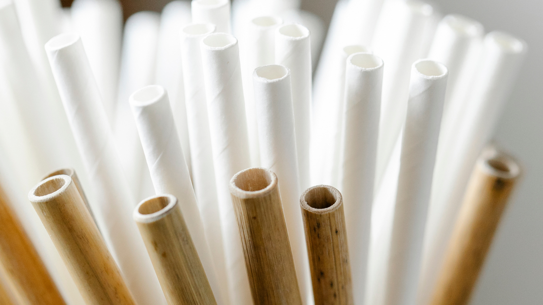 What Are Common Types of Plant-Based Straws?