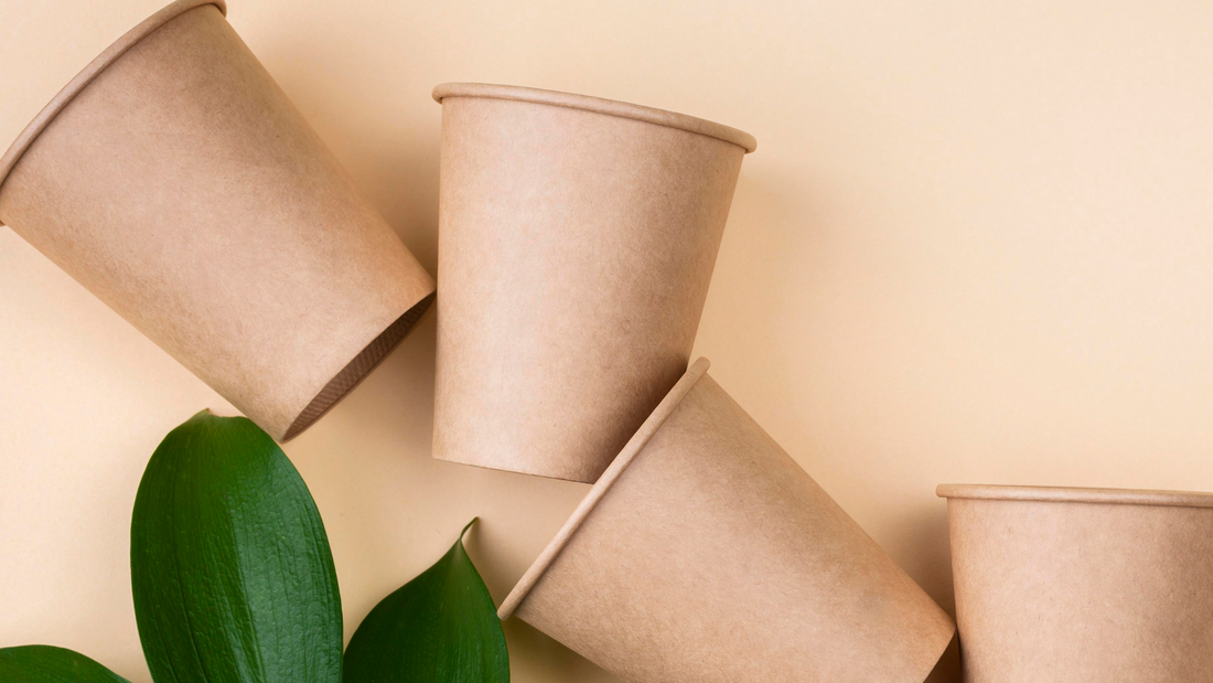 From Waste to Resource: The Life Cycle of Recyclable Paper Cups