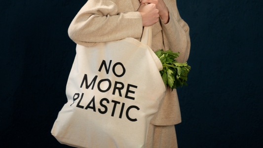 5 Reasons Why Reusable Bags Are Better Than Plastic