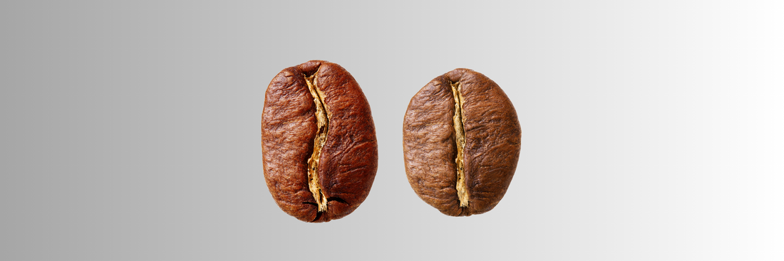 Robusta vs Arabica