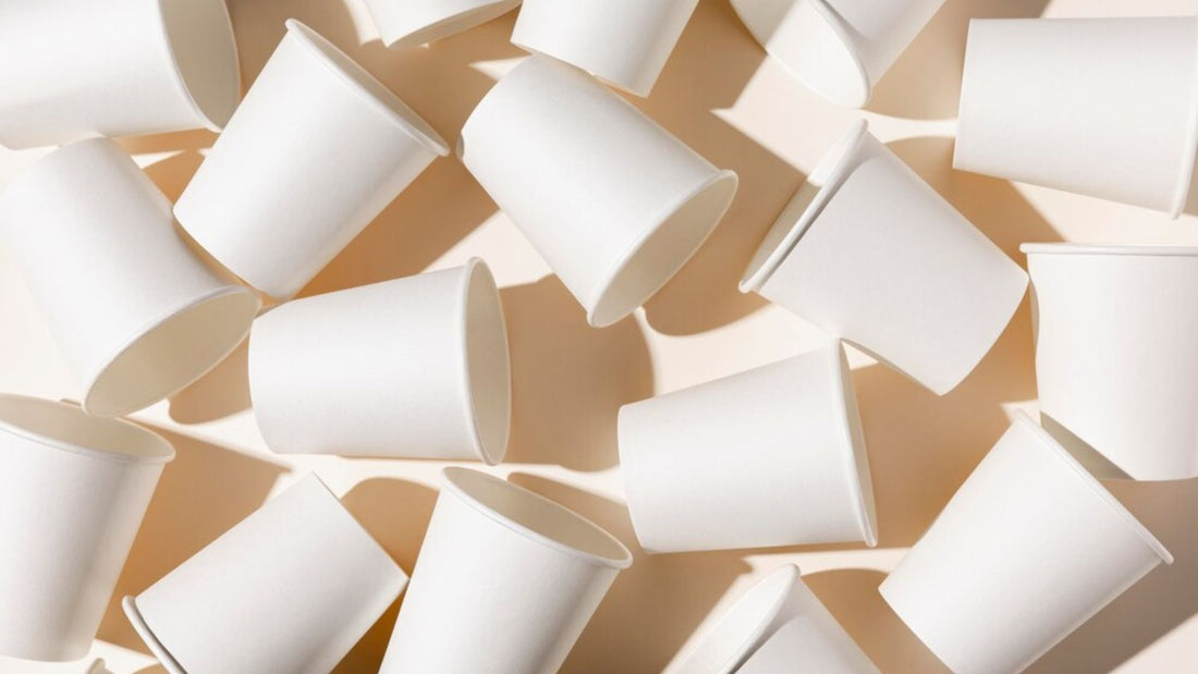 Types of Disposable Cups: Choosing the Right Paper Cups for Your Business