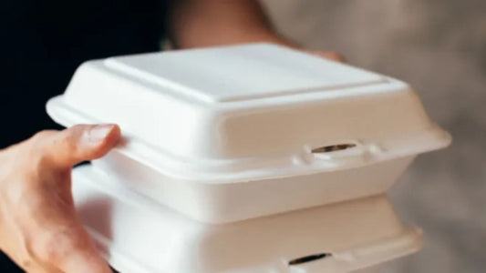 6 Benefits Of Using Vented Takeout Containers