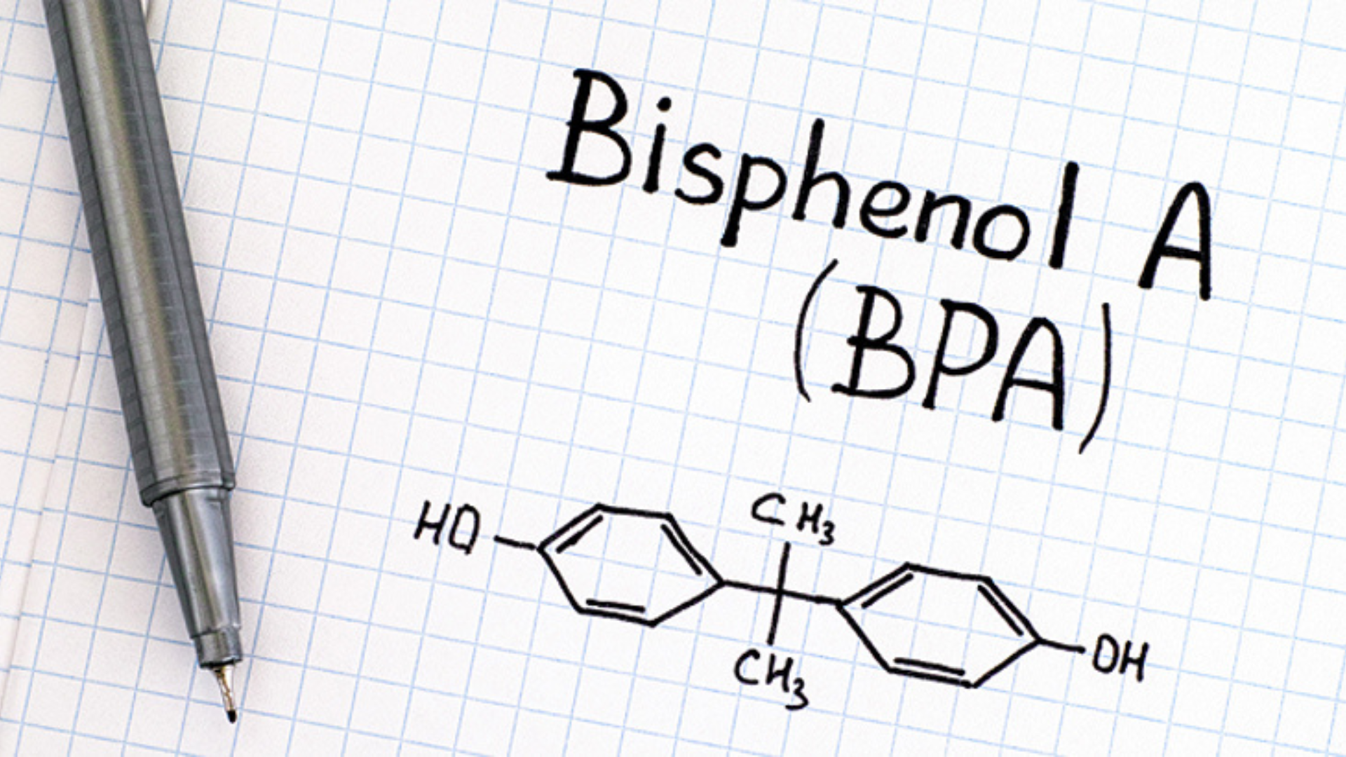 Bpa Size Is the BPA in Packaging Dangerous for Your Food? – KimEcopak