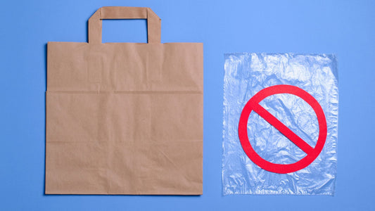 Should Plastic Be Banned? Which Country Banned Plastic?