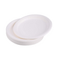 10 inch Sugarcane Fiber Plates