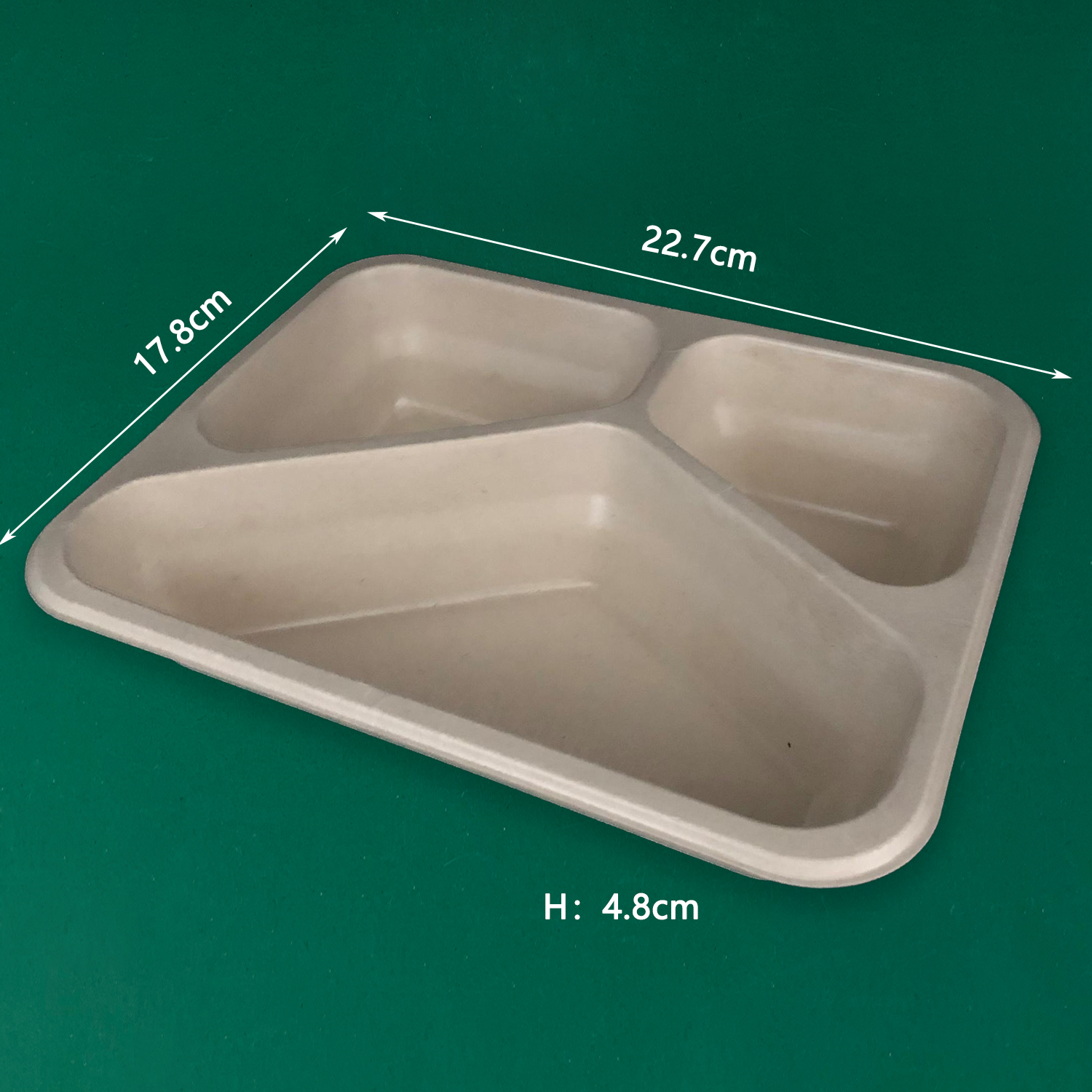 3 Compartment | Disposable Sugarcane Fiber Tray | For Catering Events, Factories