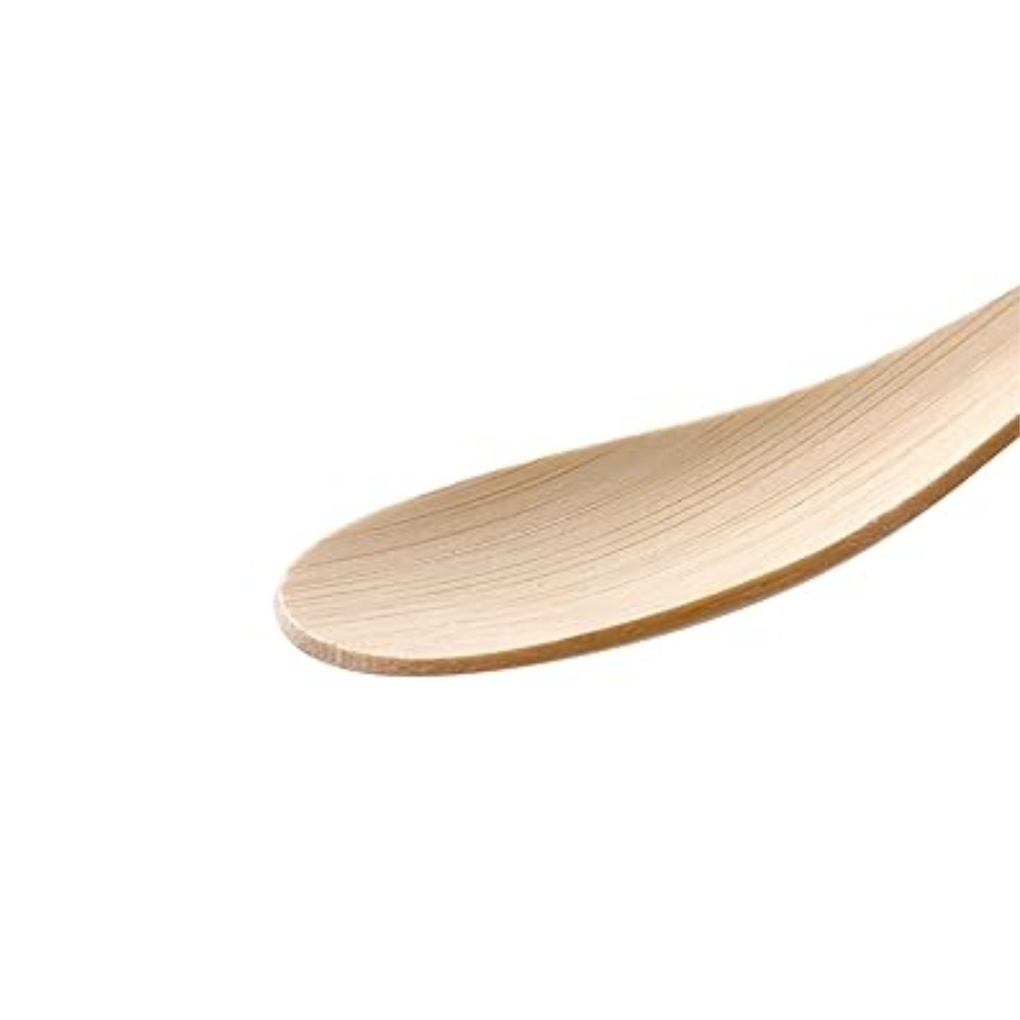 Compostable Bamboo Soup Spoon Wholesale, Fast Delivery in Canada | 1000 Pcs/Case