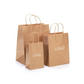 Custom printed Twist Handle Paper Take out Bag