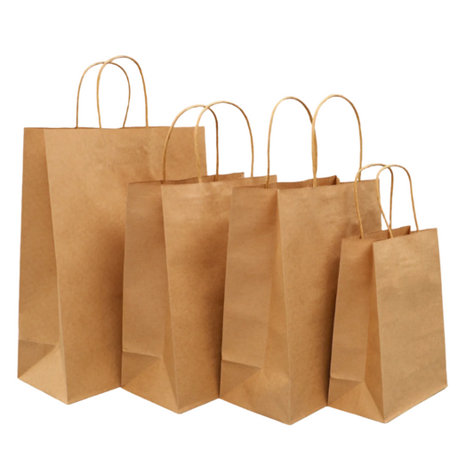 Kraft Paper Bags Twisted Handles | Shopping Bag | CASE OF 250