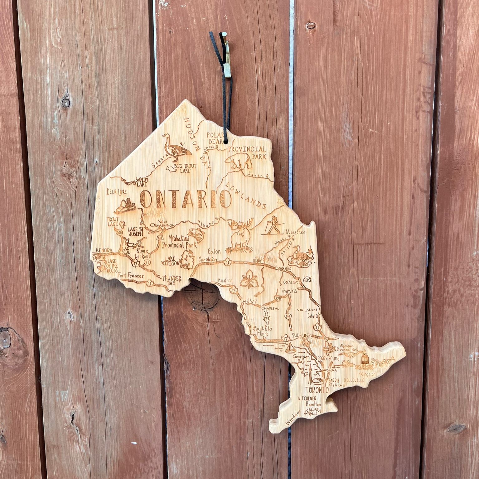 Wooden map of Ontario hanging on a wooden wall