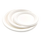 Disposable Sugarcane Plates