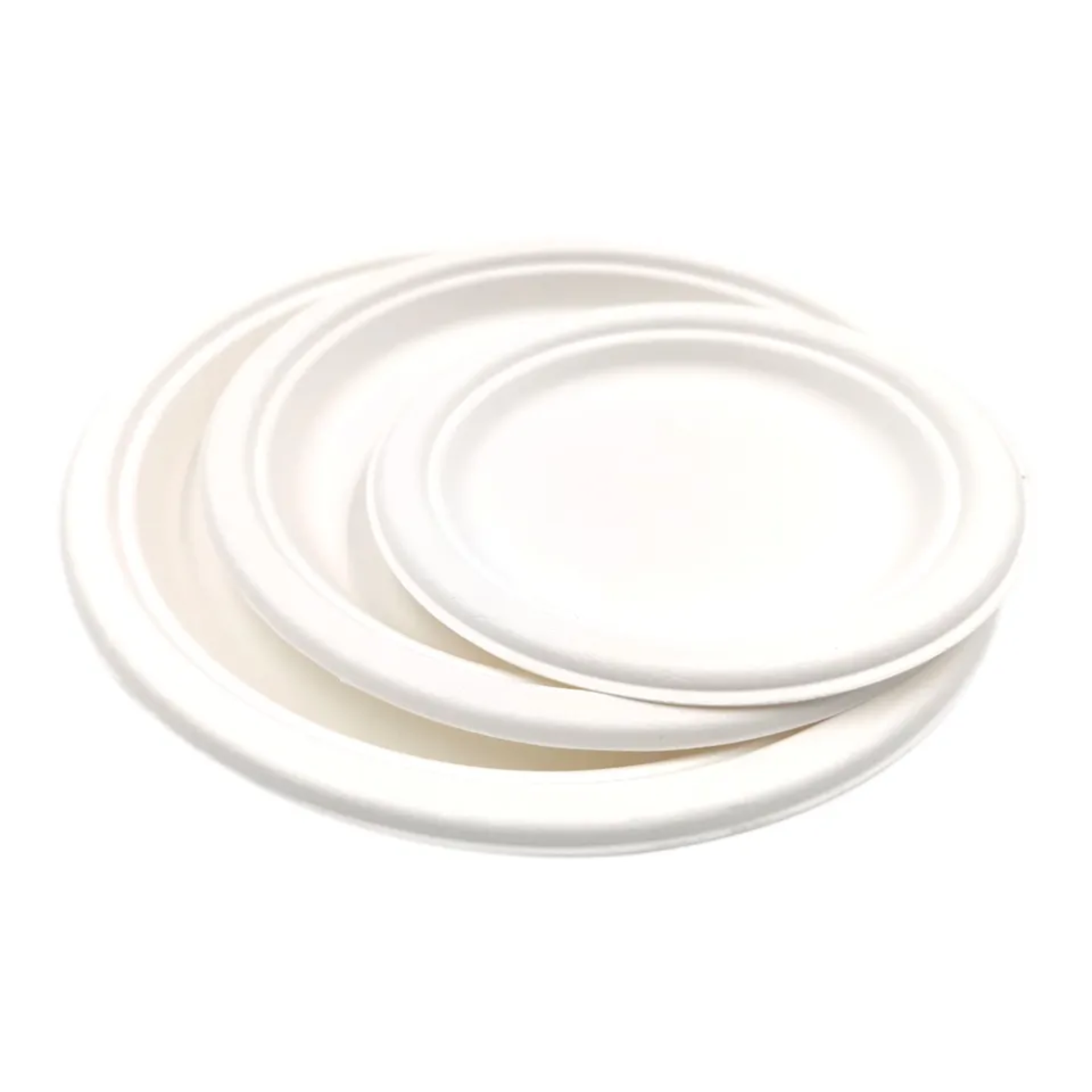 Disposable Sugarcane Plates