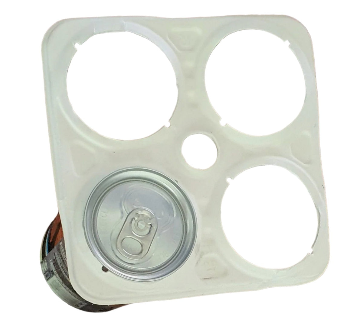 Biodegradable Can Rings Biodegradable Ring Beer | 4 Pack | Wholesale & MOQ – KimEcopak